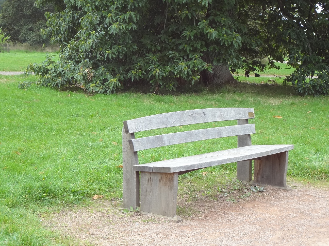 Sponsor a bench