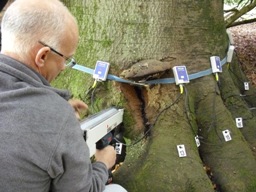 Tree Surveys using the picus sonic tomograph