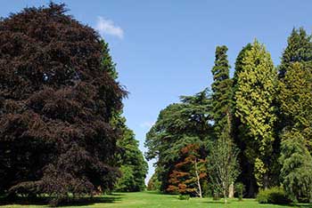 What makes Westonbirt so special? 