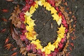 Autumn leaf-art in the arboretum