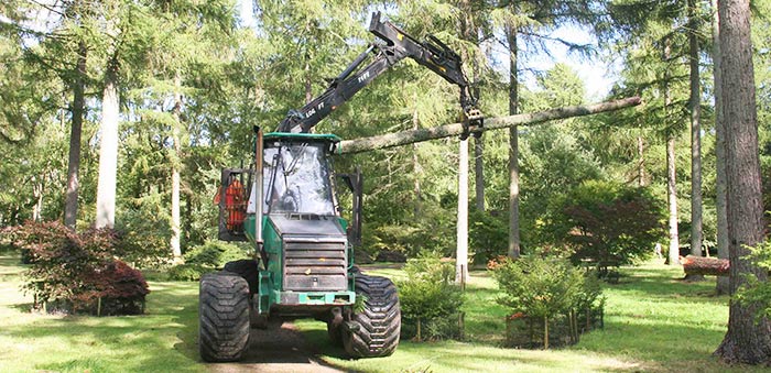 Supporting tree management at Westonbirt Arboretum