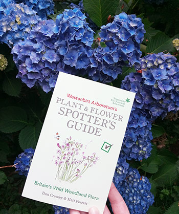 Plant and Flower Spotter's Guide