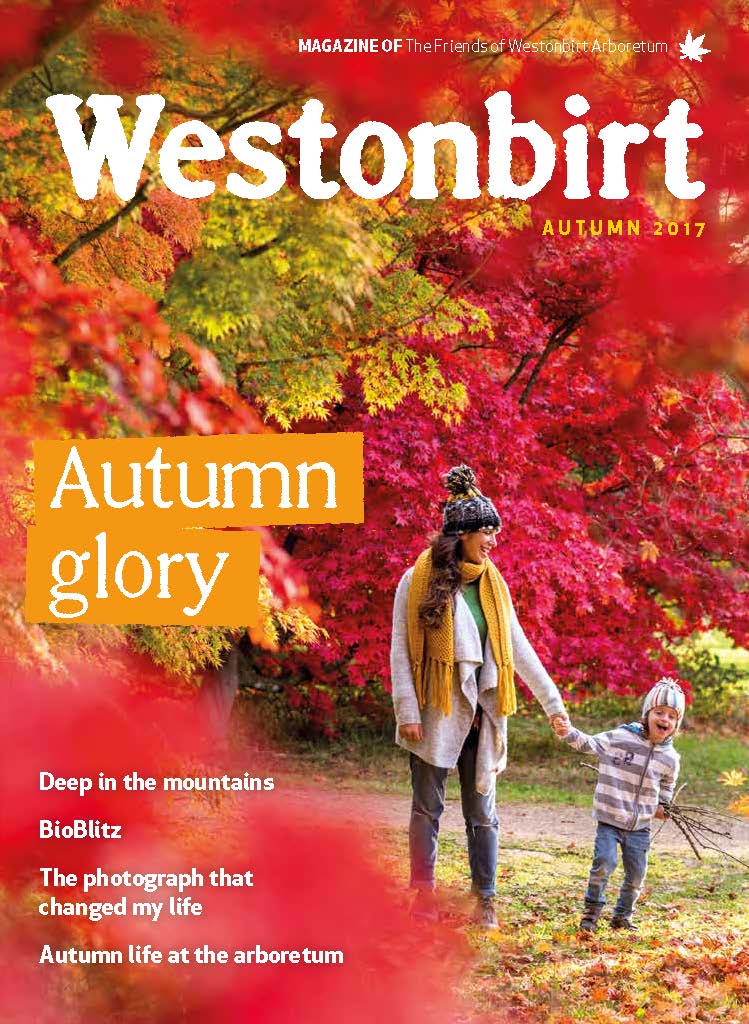 Autumn 2017 Westonbirt Magazine Autumn 2017