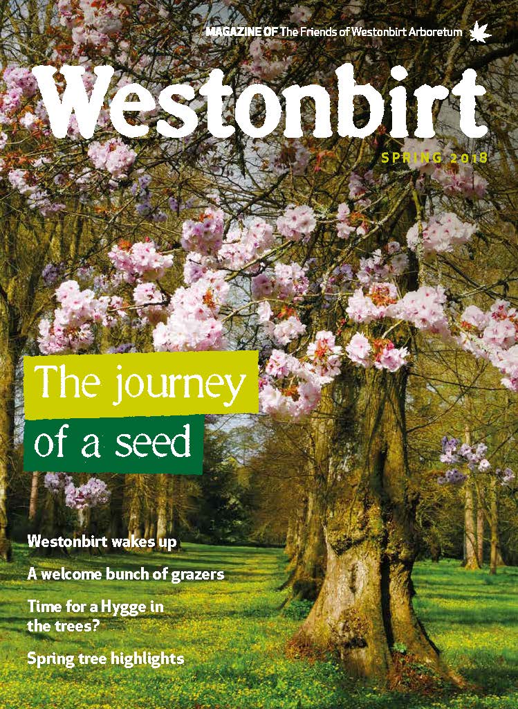 Spring 2018 Westonbirt Magazine Spring 2018