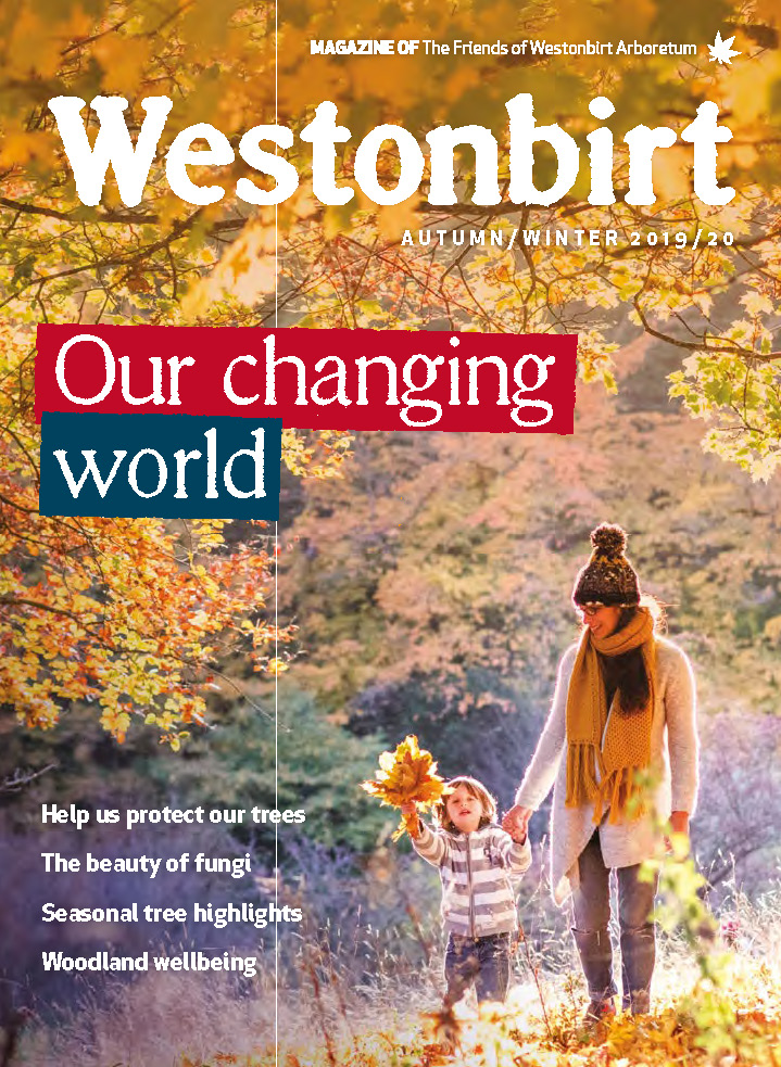 Autumn-Winter 2019 Westonbirt Magazine Autumn/Winter 2019