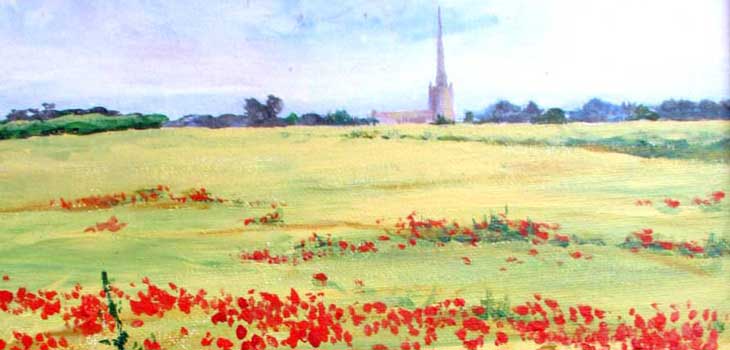 Tetbury poppies by Sue Townsend