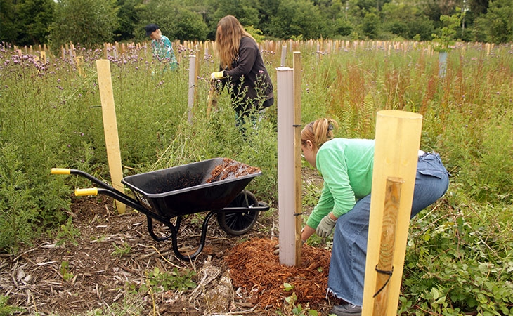 People mulching planting area