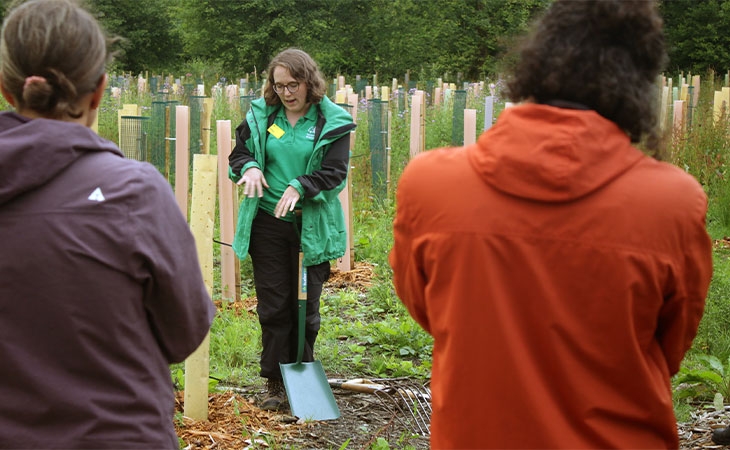 People mulching planting area