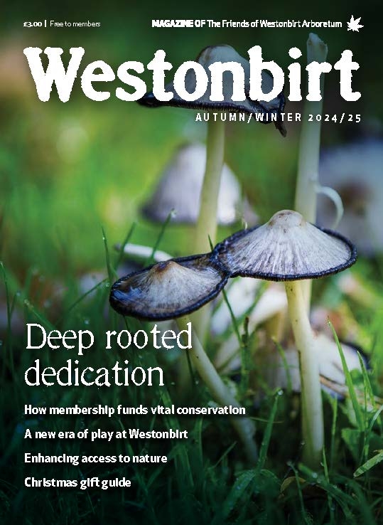 Autumn/Winter 2024 Westonbirt Magazine Autumn/Winter 2024