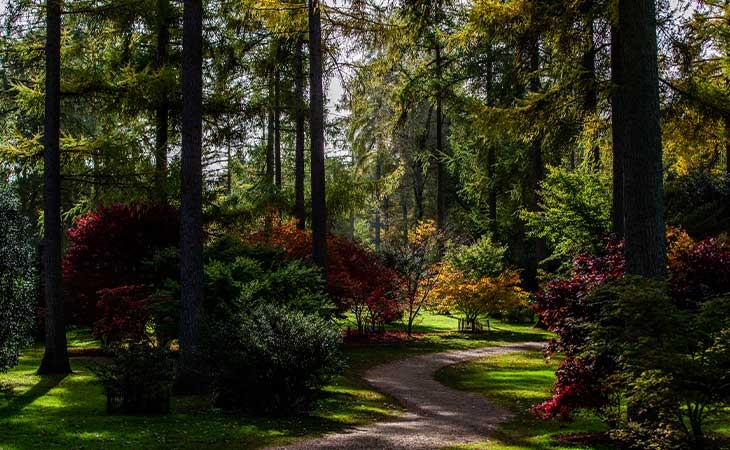 Autumn at Westonbirt Arboretum