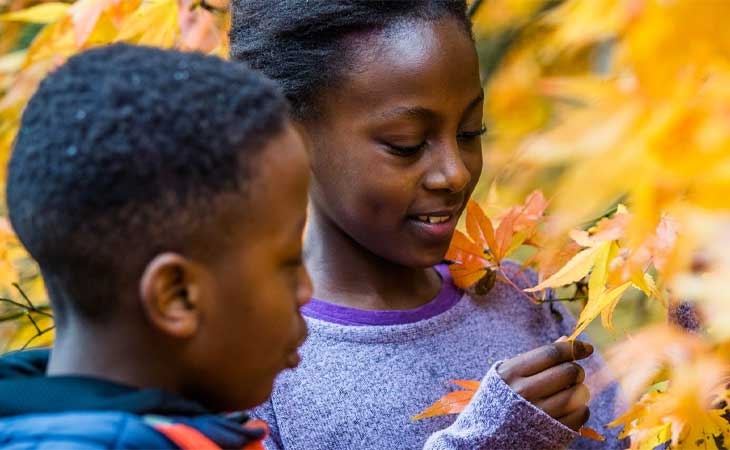 Autumn at Westonbirt Arboretum