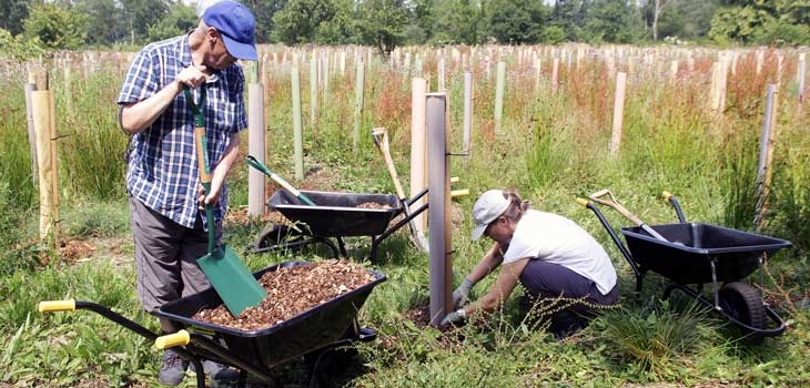 Silk Wood Community Planting Project