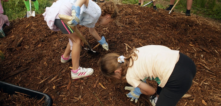 Silk Wood Community Planting Project