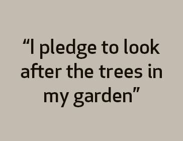 'Trees for the Future' pledges