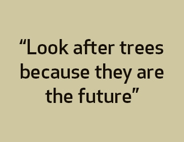 'Trees for the Future' pledges