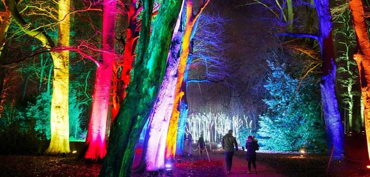 Christmas at Westonbirt