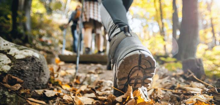 Nordic walking workshop