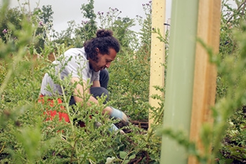 The Julia Rausing Trust Supports the Silk Wood Community Planting Project with £190,000 Grant