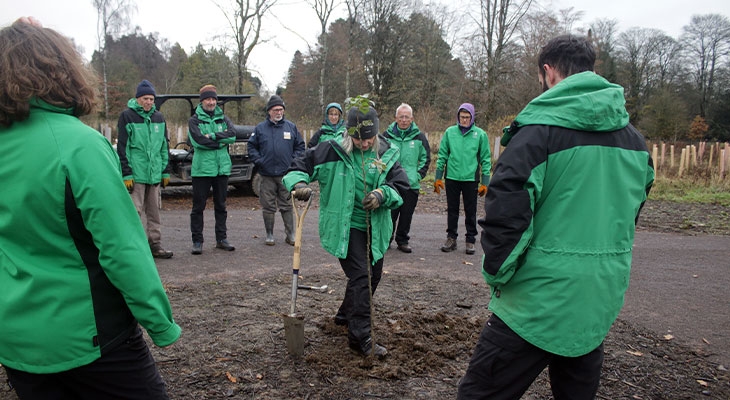 SWCCP Sorbus planting