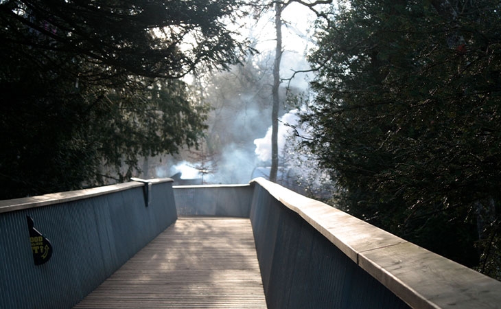 Treetop Walkway