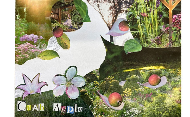 Community collage: Crab apples