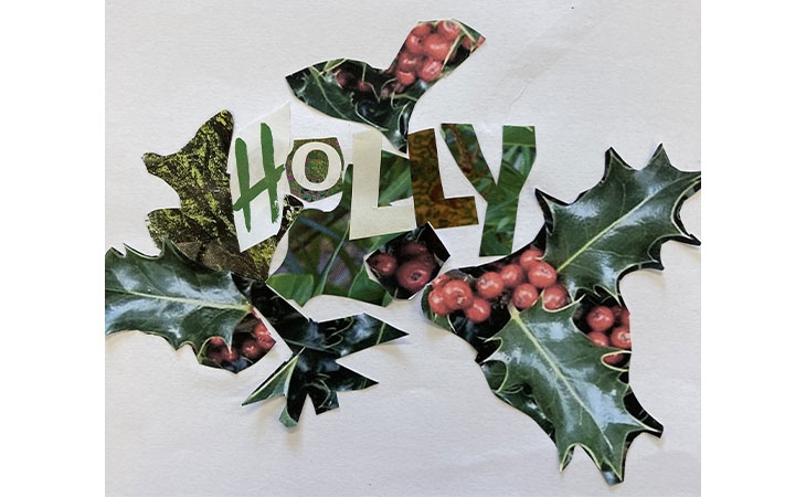 Community collage: Holly