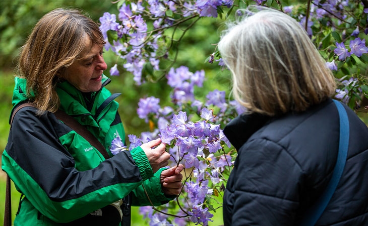 Free guided walk