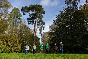 Uncover the Secrets of Westonbirt: Join a Discovery Walk