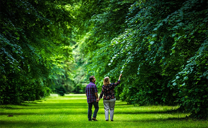 Couple walking through the arboretum in summer