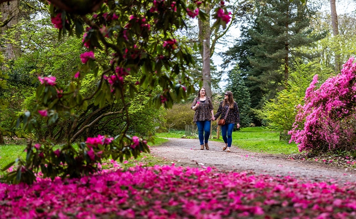 Couple walking through the arboretum in spring