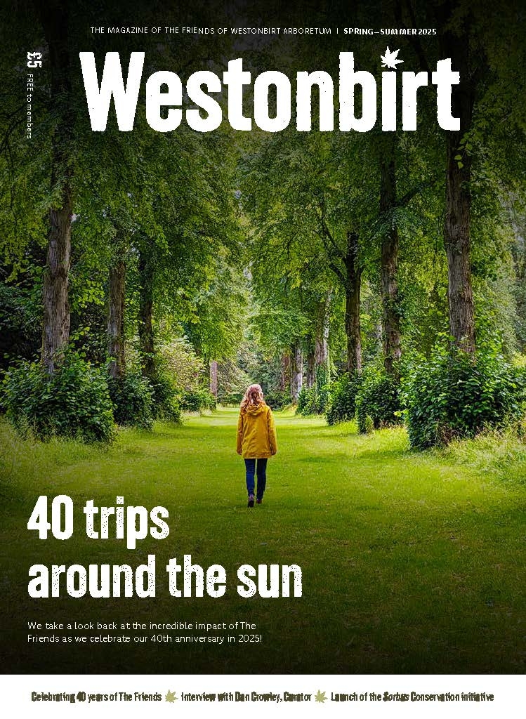 Spring/Summer 2025 Westonbirt Magazine Autumn/Winter 2024