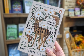 Your Reading List for Autumn: New Tree Books