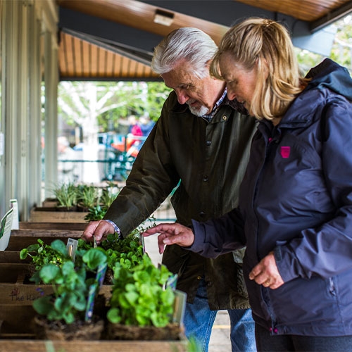 Gifts for Gardeners in the Westonbirt Shop