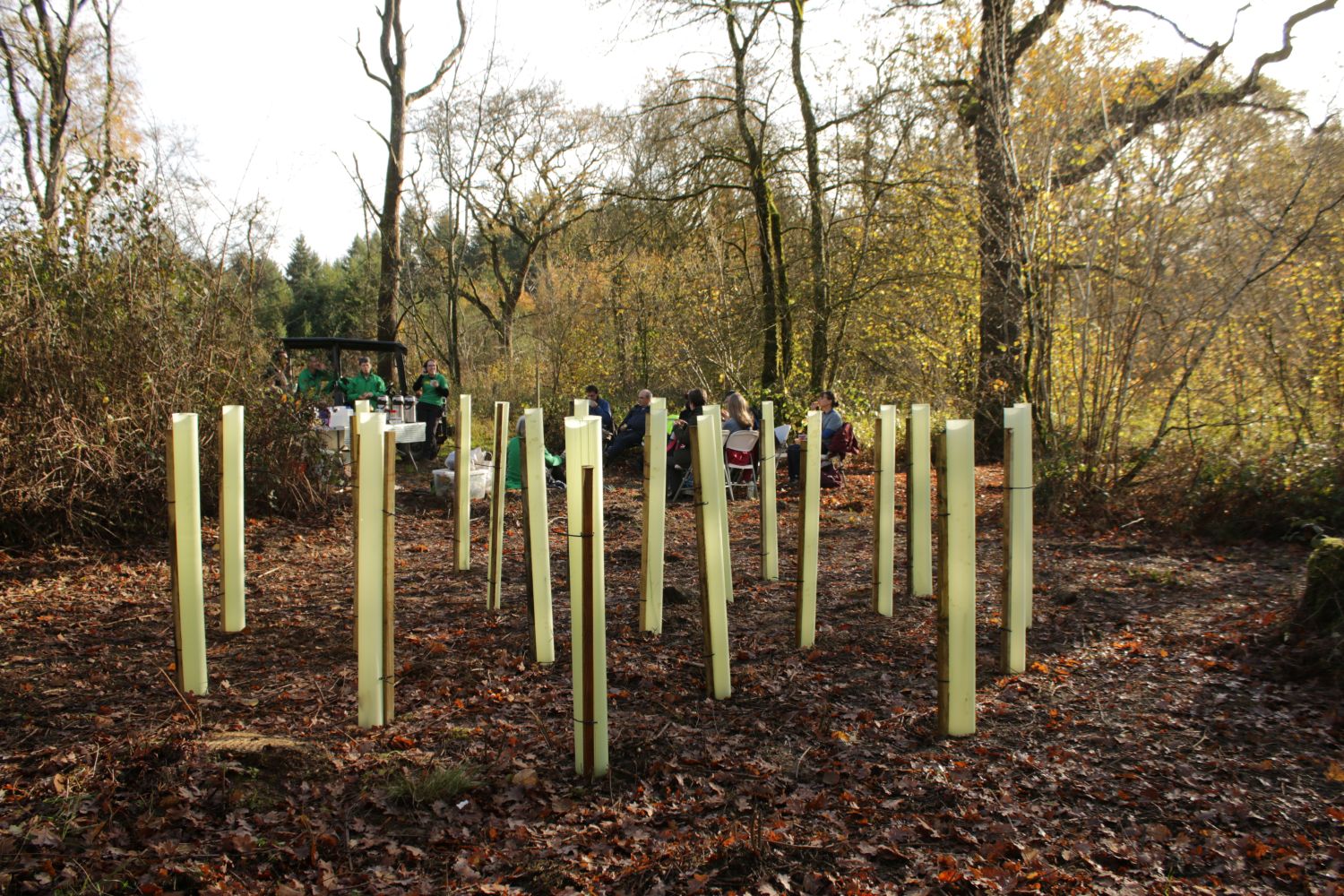 Nest Planting: A Fresh Approach for the Final Tree Planting Season