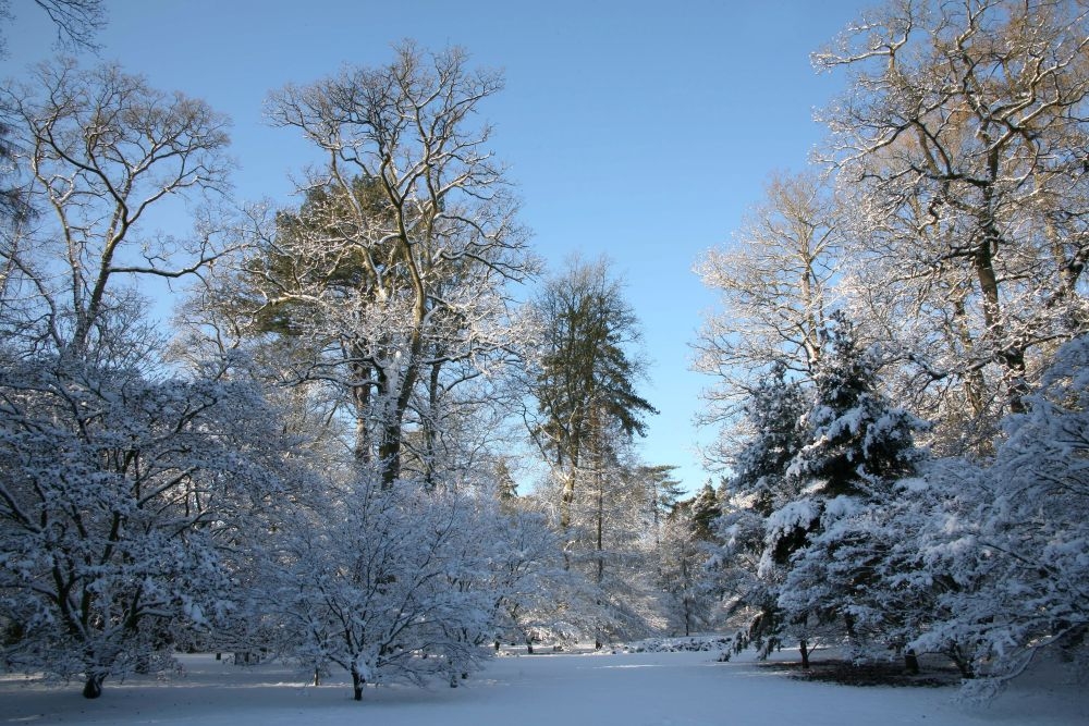 What's on in December