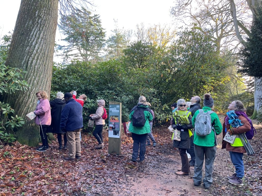 Connecting Carers with Nature: How Your Support Makes a Difference