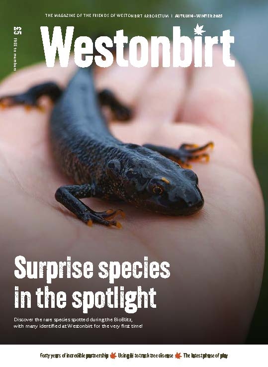 Autumn/Winter 2025 Westonbirt Magazine Autumn/Winter 2025