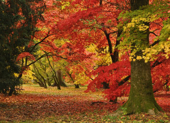 What's on in November