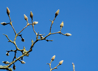 What's on in February